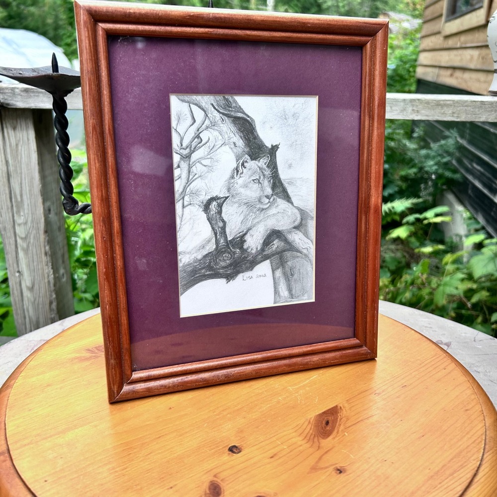 Vintage Lioness Original Pencil Sketch Art Large Framed Wildlife Portrait MCM